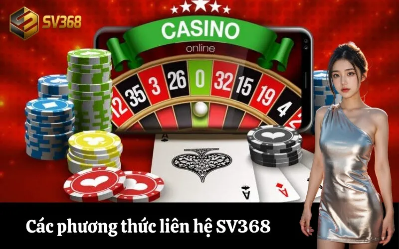 Các phương thức liên hệ SV368